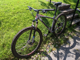 vitus nucleus out of stock